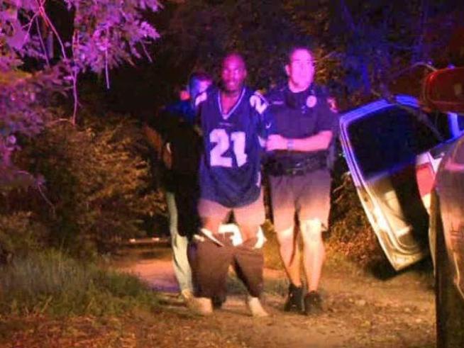 Two puppies were rescued after a man leads police on a chase.