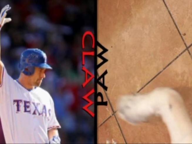 Even dogs are getting in on Rangers red mania. (Still pictures <a title=