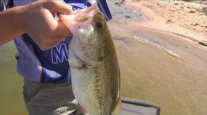 Flower Mound High School added a bass fishing club team this year, and the sport is gaining popularity across the state.