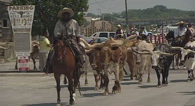 With their twice-daily cattle drives, the Fort Worth Stockyards aims to preserve local cowboy history.