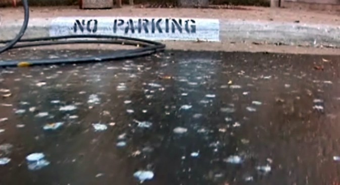 Commissioner Settles Power Feud With Power Washer