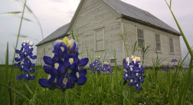 Bluebonnet Season is Here