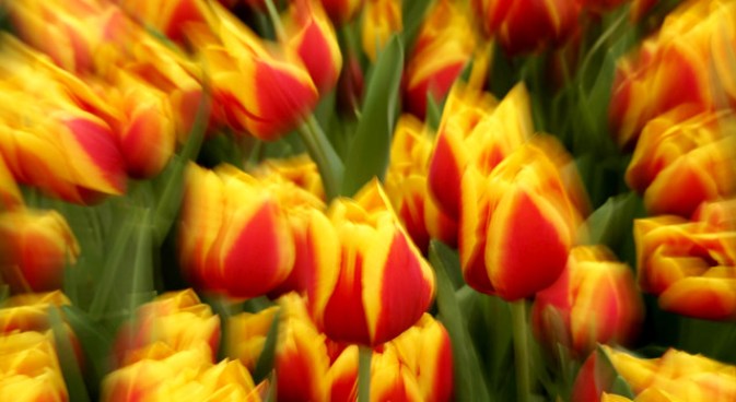 Weatherford's Gardens are a Handmade Treat