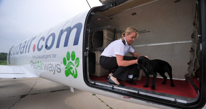 This Airline Is Going to the Dogs