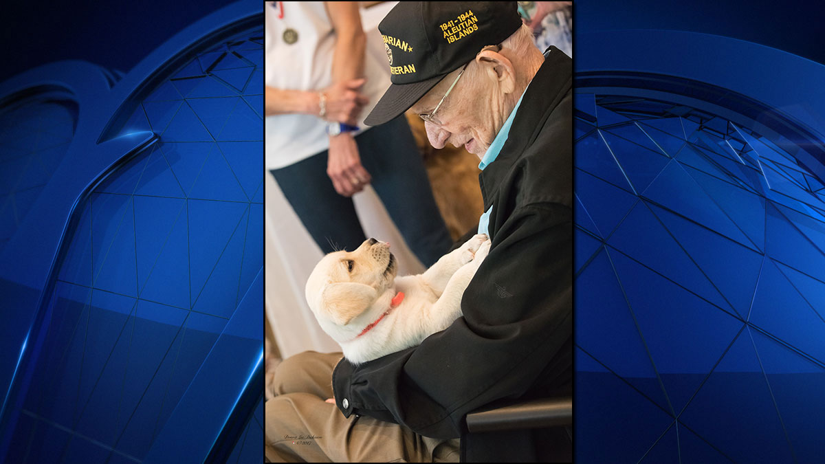 WWII Vet Meets Service Puppy in Training Named After Him