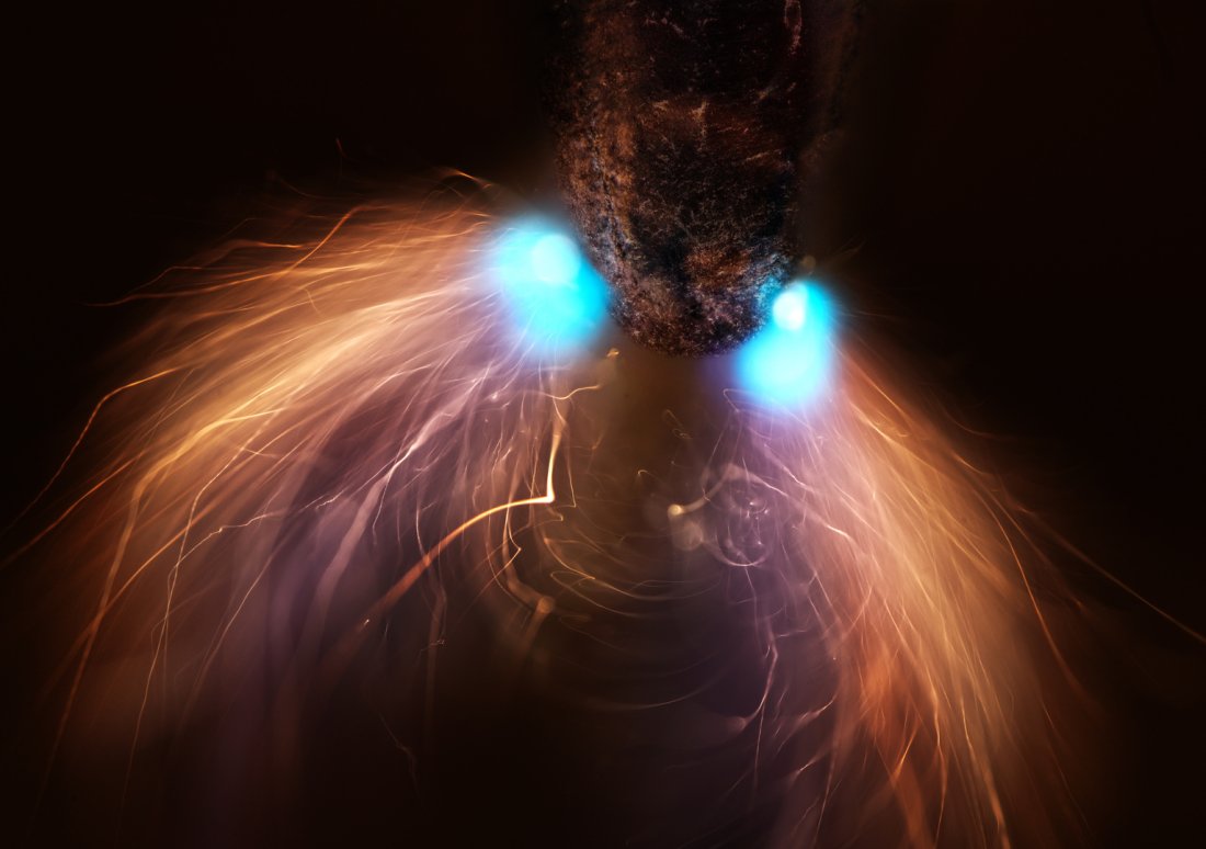 Pencil lead during exposure to a high-voltage electrical discharge