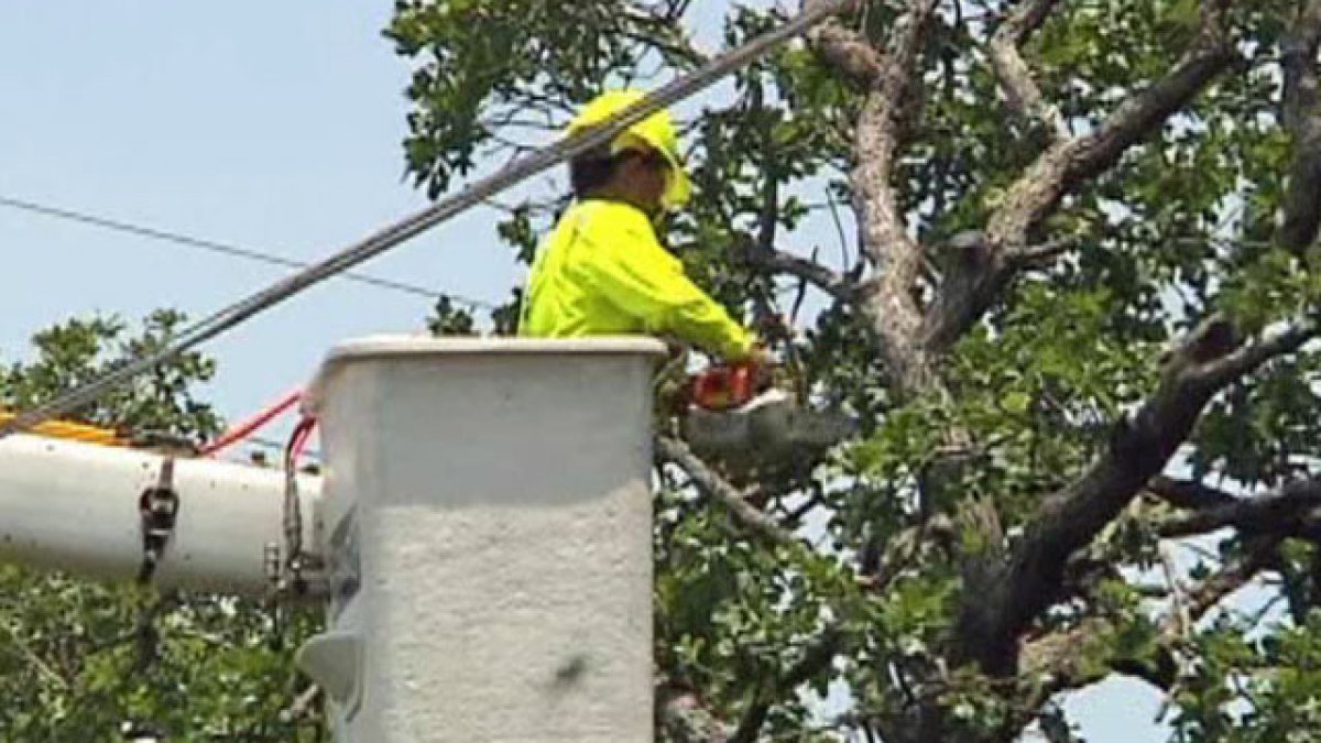 McKinney homeowners push back against Oncor tree-trimming project