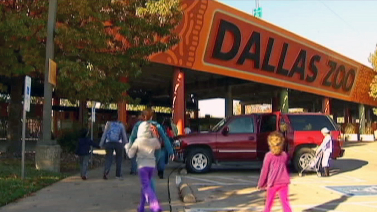 Dallas Zoo Dollar Days for July, August Sold Out NBC 5 DallasFort Worth