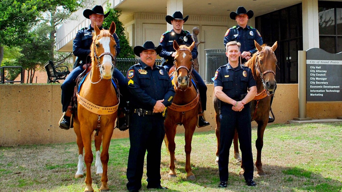 Cowboy Police Officers Serve the Streets & the Rodeo NBC 5 Dallas