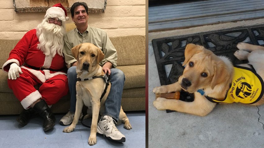 12-21-2017-adam-lawrence-ollie-santa-4-gda