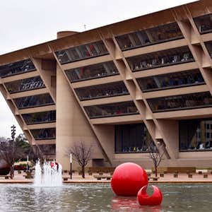 1550864534-CityHall06.jpg?crop=faces,top&fit=crop&q=35&auto=enhance&w=300&h=300&fm=jpg