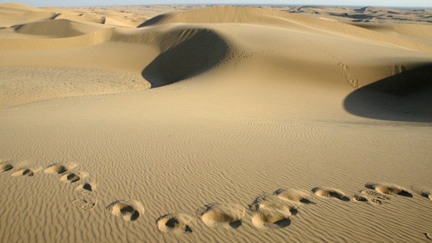 2179502DM21_dunes