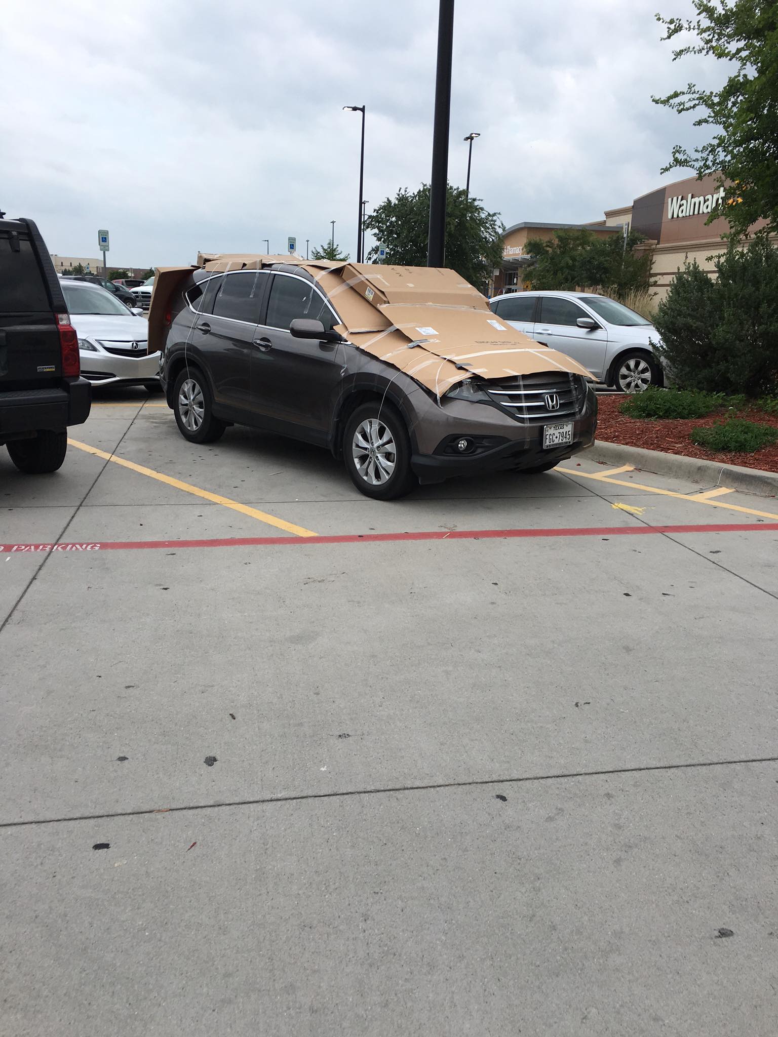 Hail Preparation