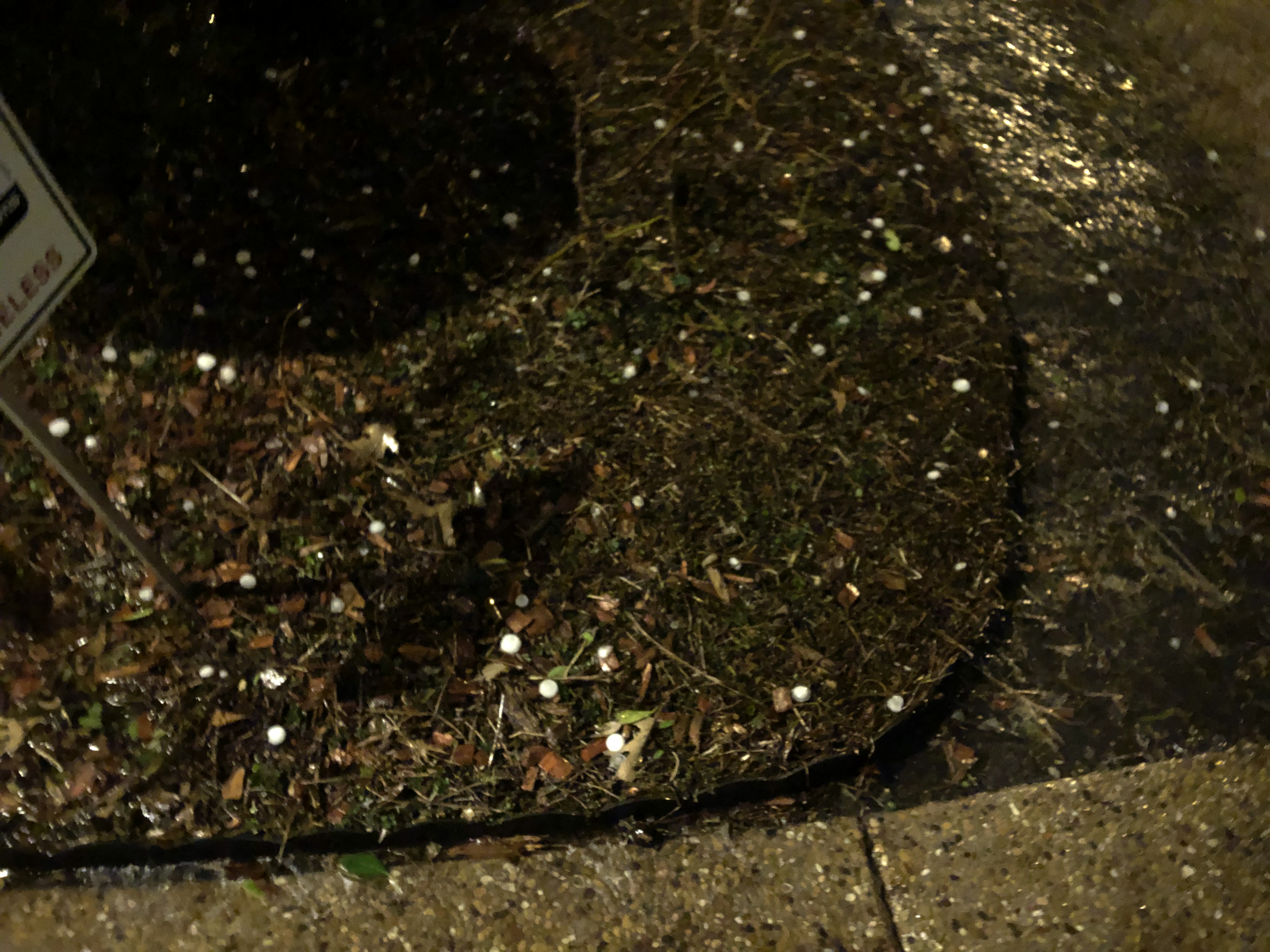 Hail in Plano