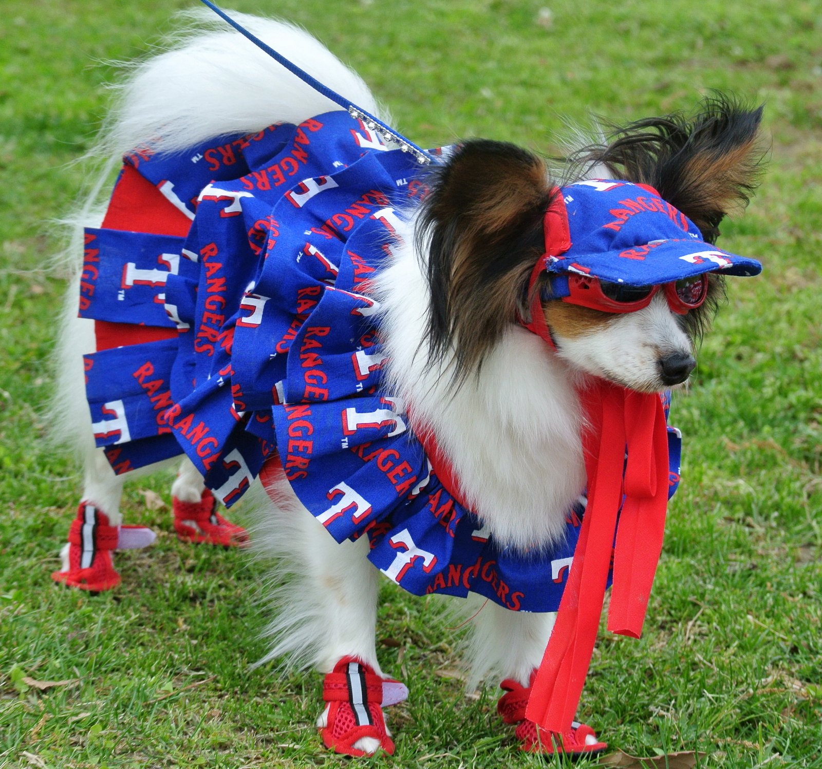 texas rangers dog jersey