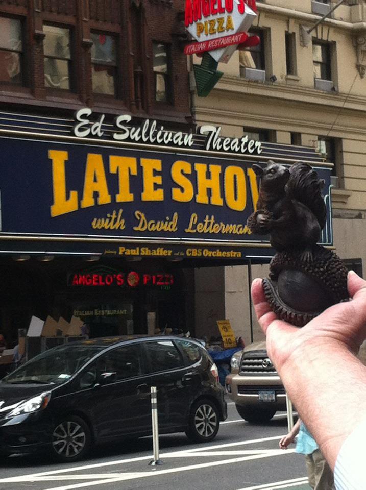 Share Your Squirrels Nbc 5 Dallas Fort Worth