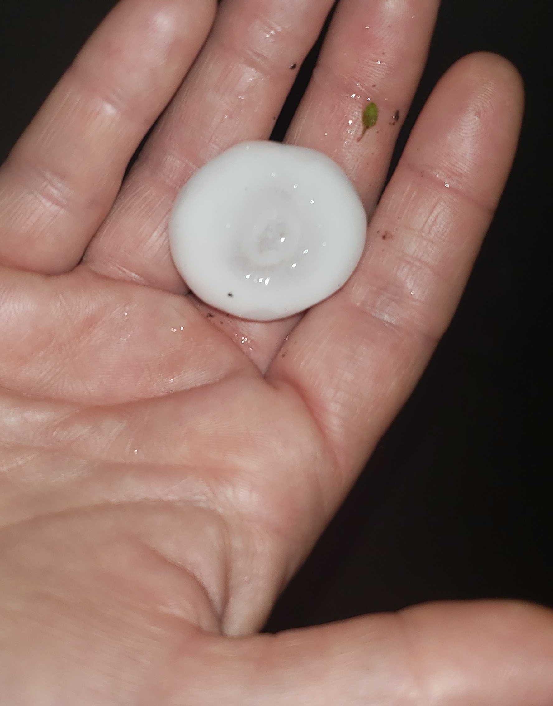 Grapevine hail