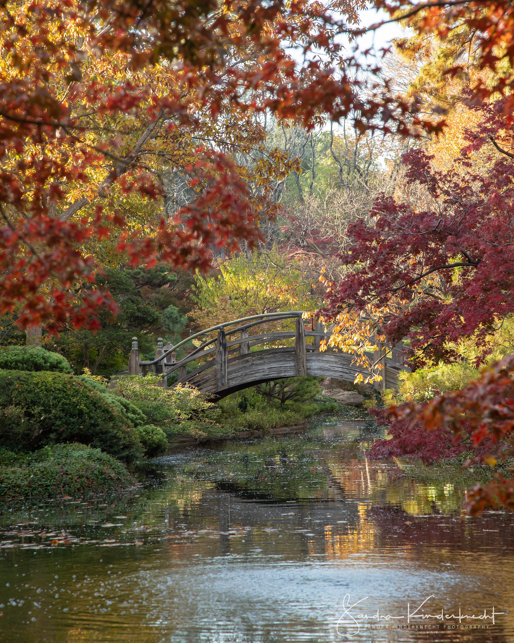 Fall Foliage In North Texas 2019 Nbc 5 Dallas Fort Worth