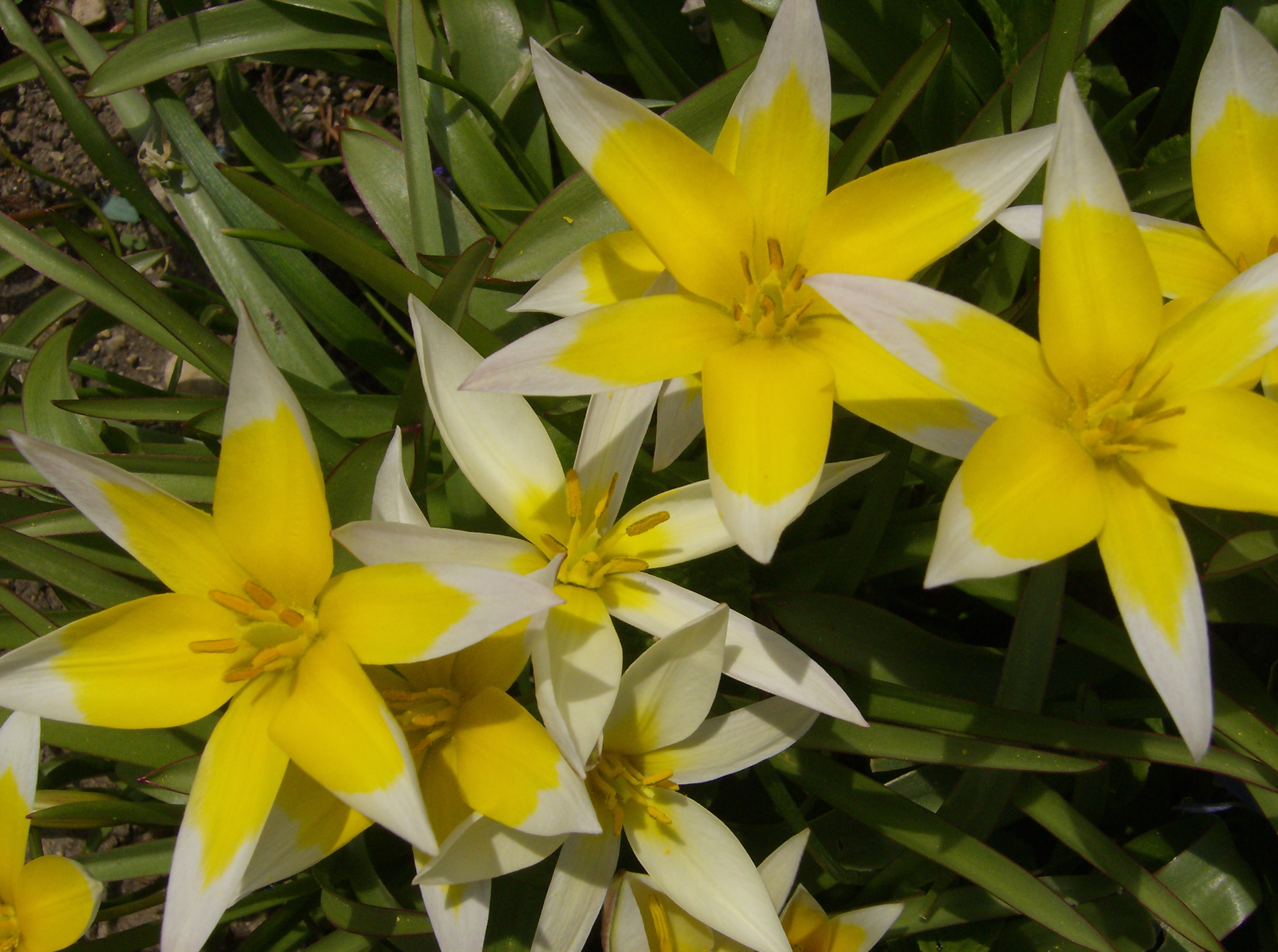 the First Day of Meteorological Spring NBC 5 DallasFort Worth