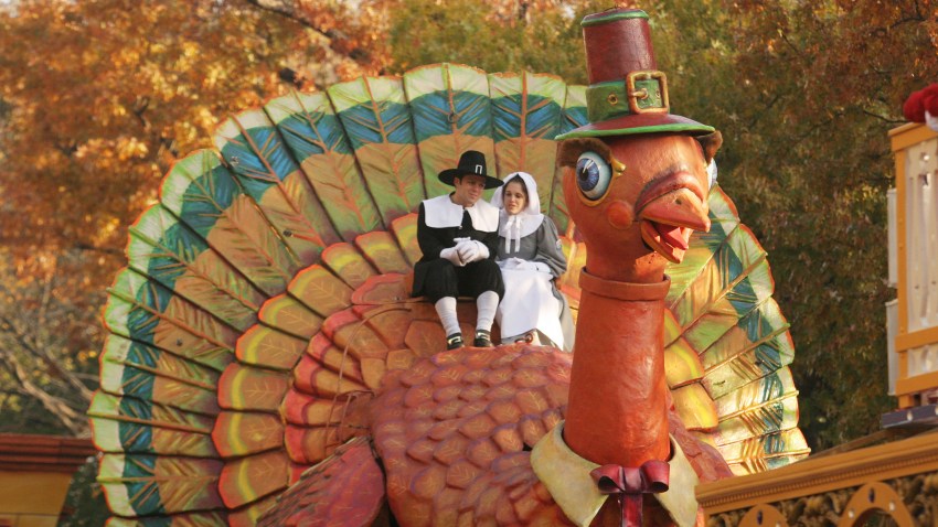 Thanksgiving Turkey