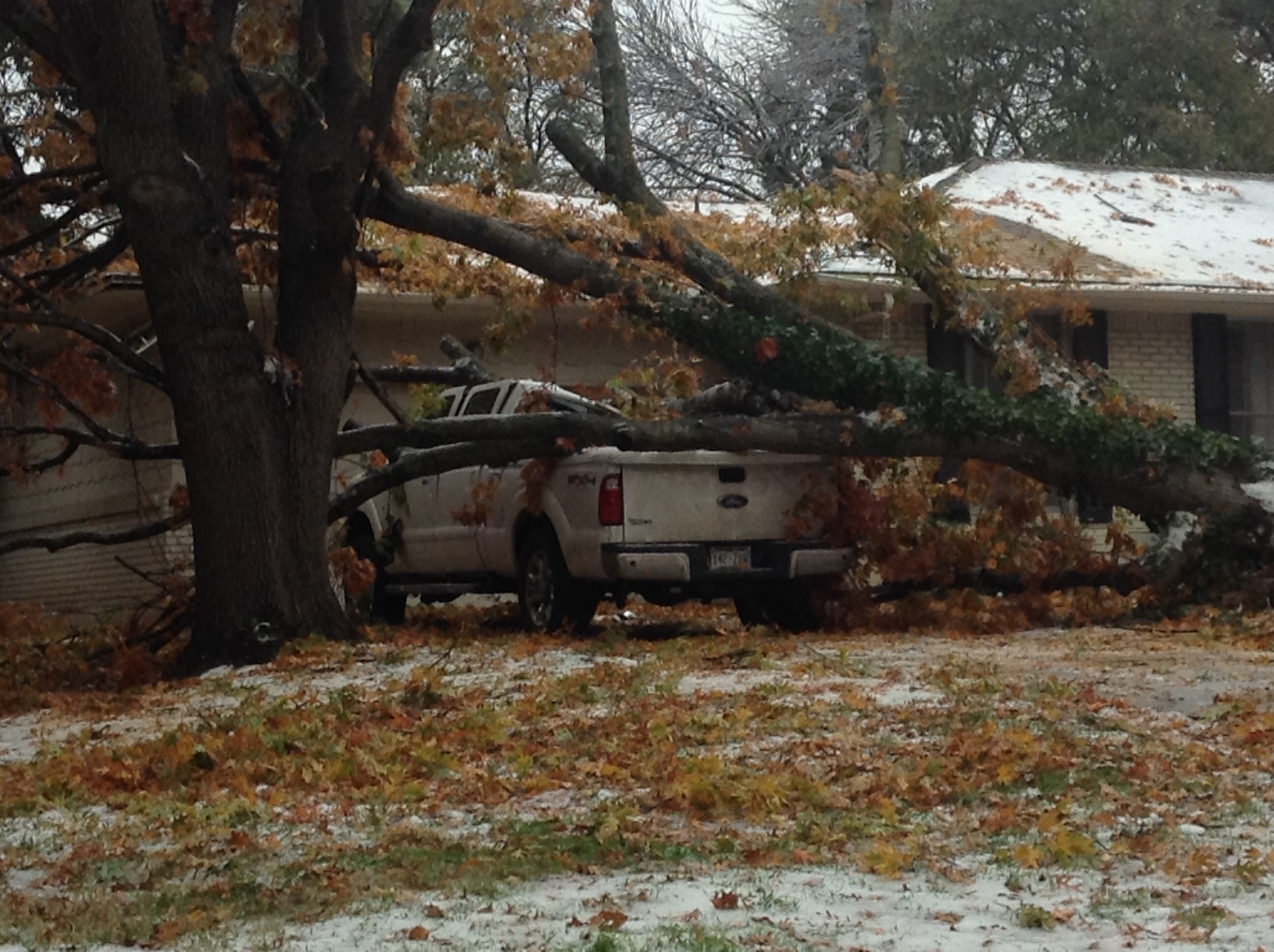 Deluxe Nails Hillcrest Dallas Nail Ftempo