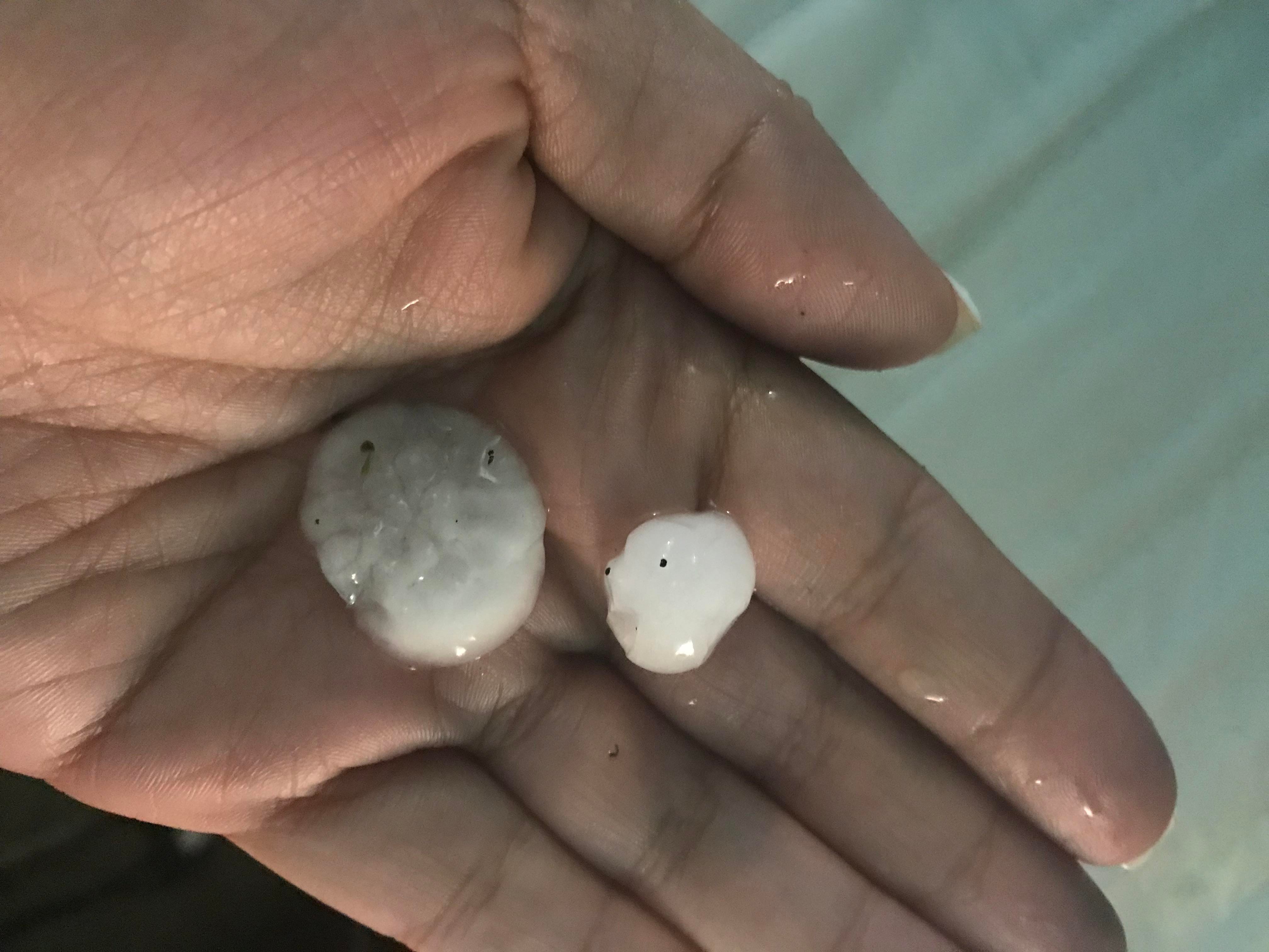 Hail in Lake Worth This is some of tha hail that fell this morning with the thunderstorm.