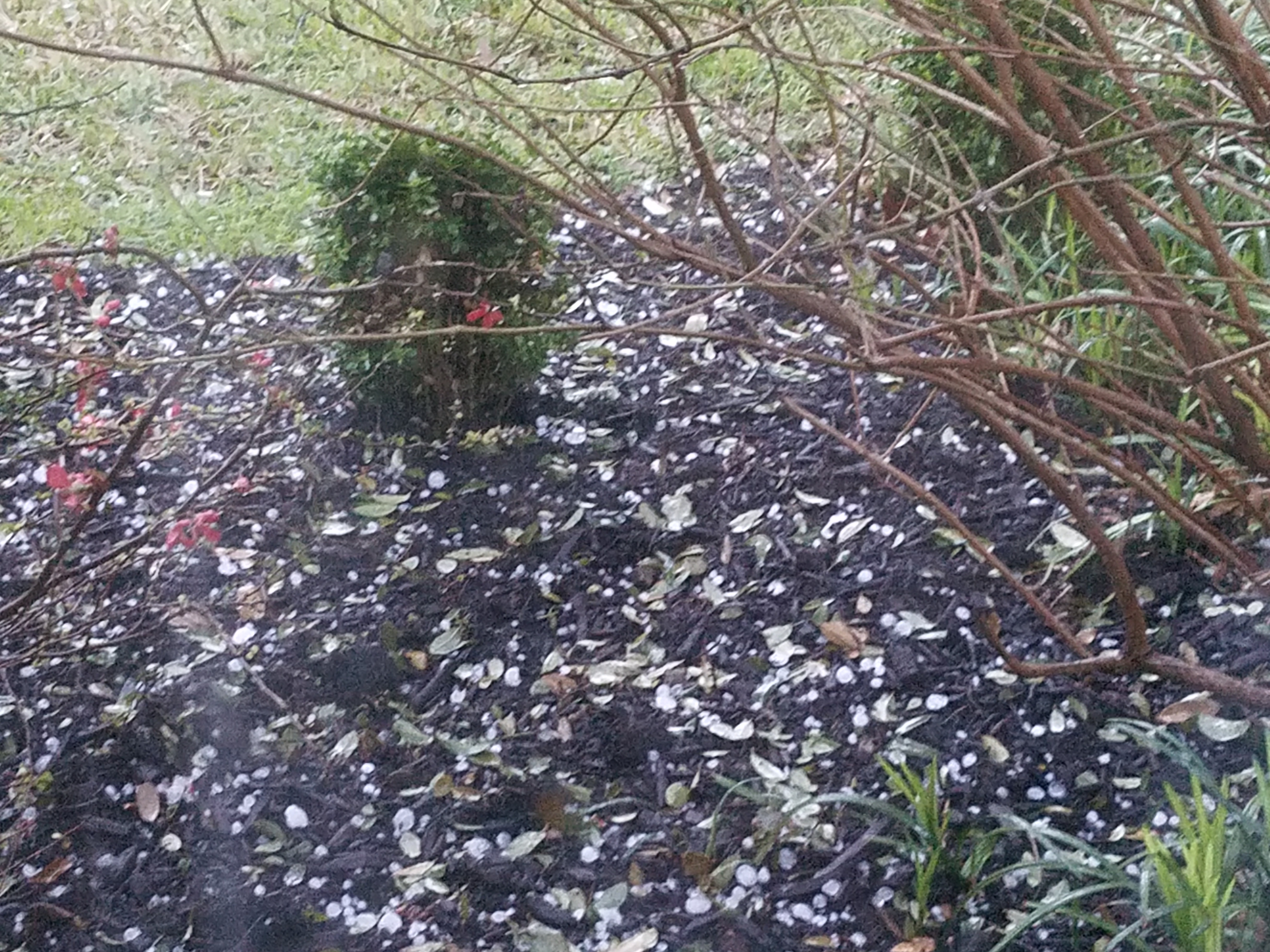 A little hail in Lakewood in east Dallas