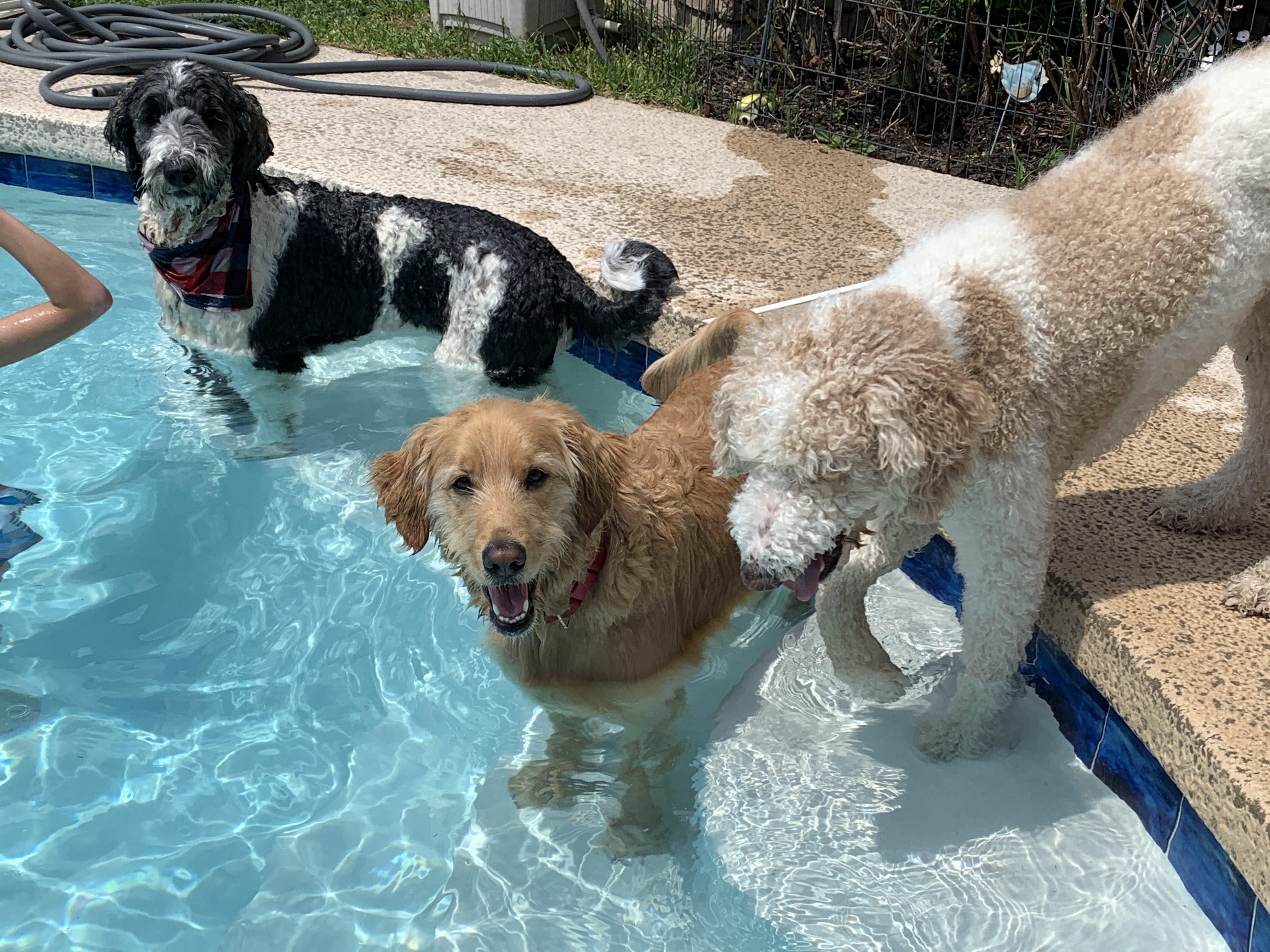 Download Ibly2zjtgbdbam For Free Get Wallpaper Ibly2zjtgbdbam For iPhone Free