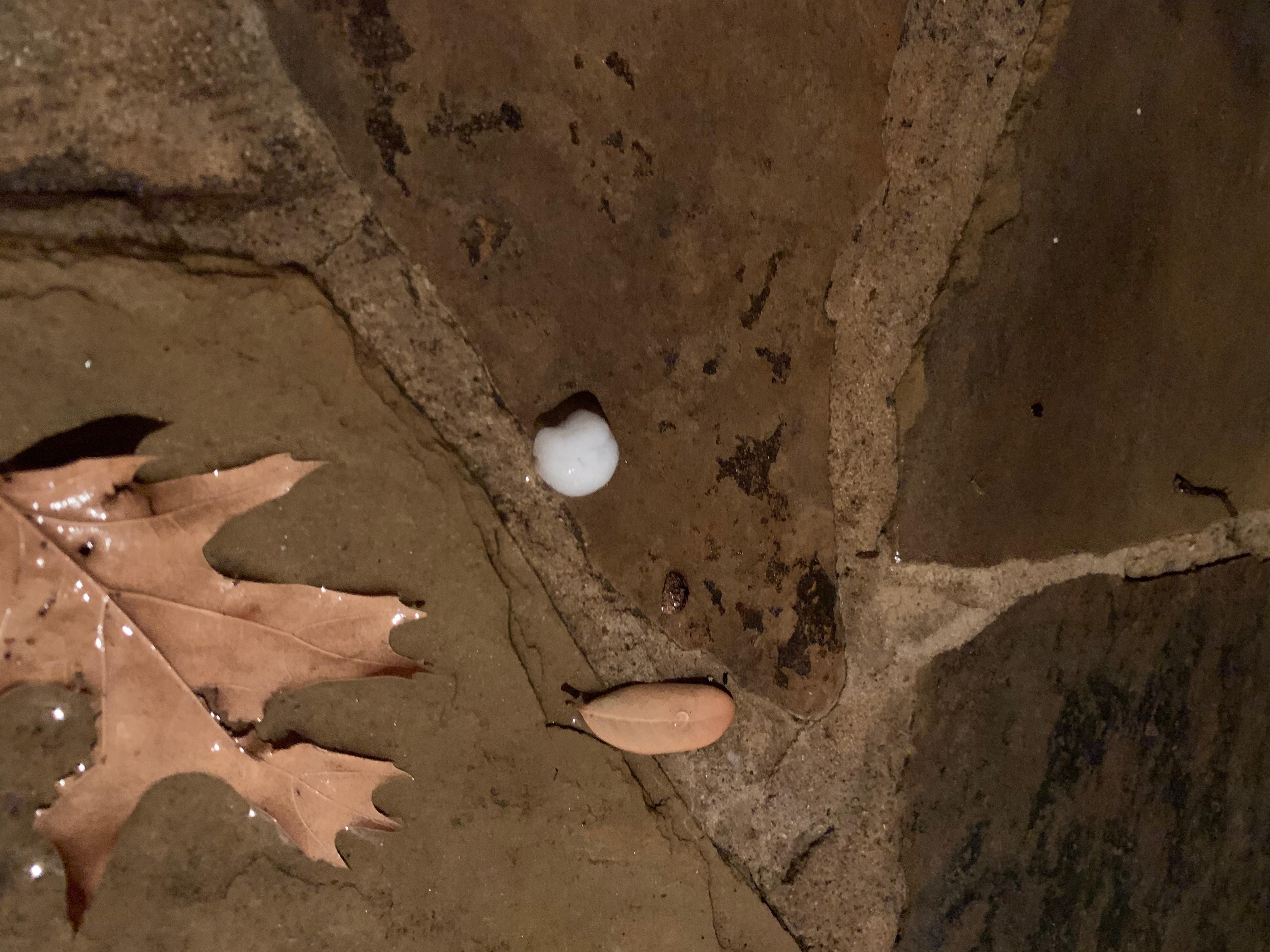 Hail from Plano by Jack Jones