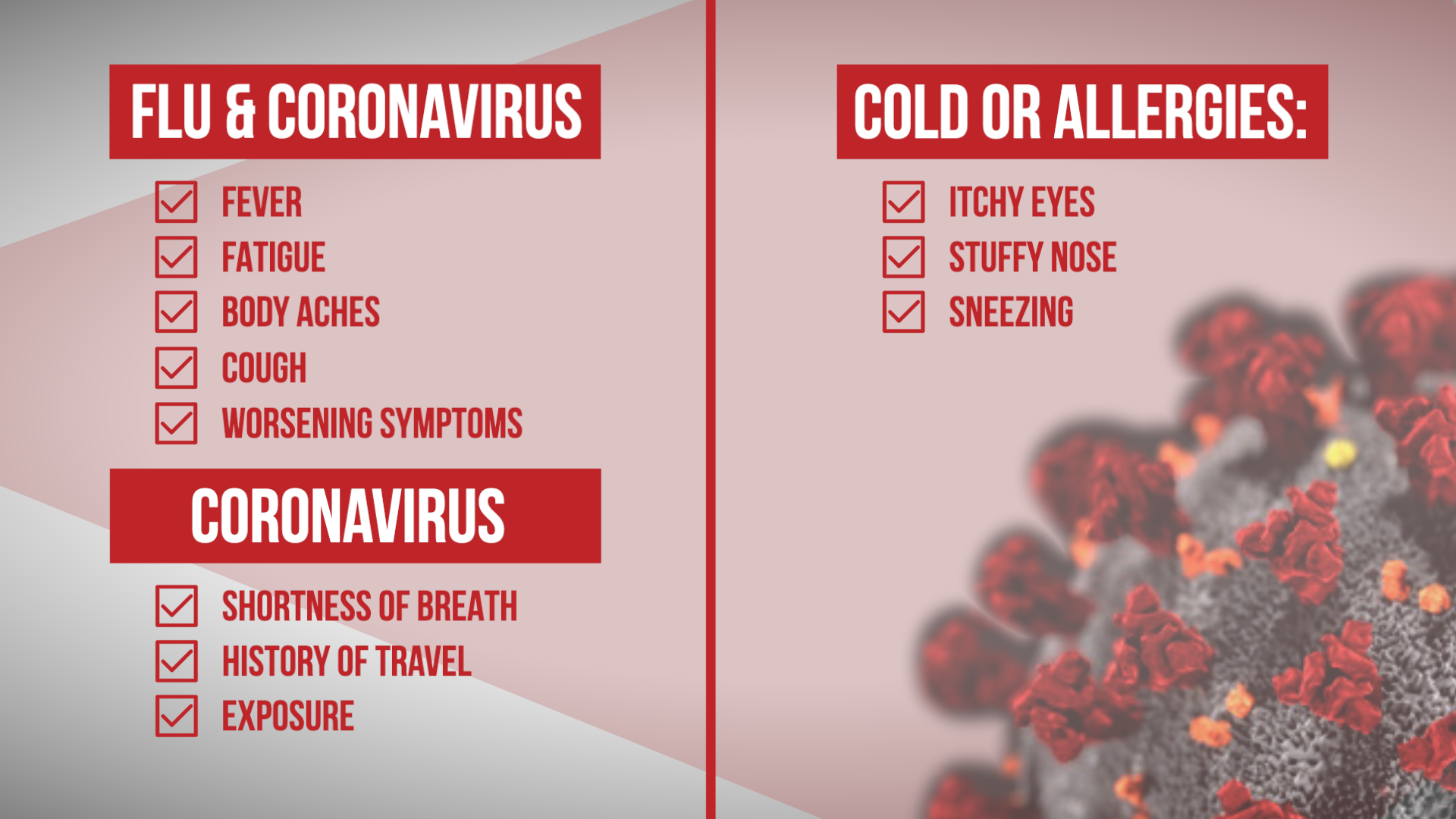 corona virus symptoms vs cold