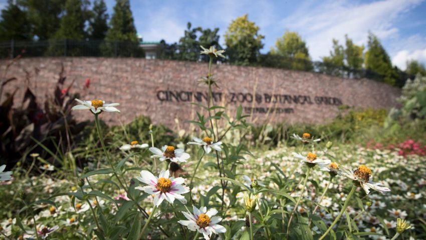 Cincinnati Zoo Evacuation