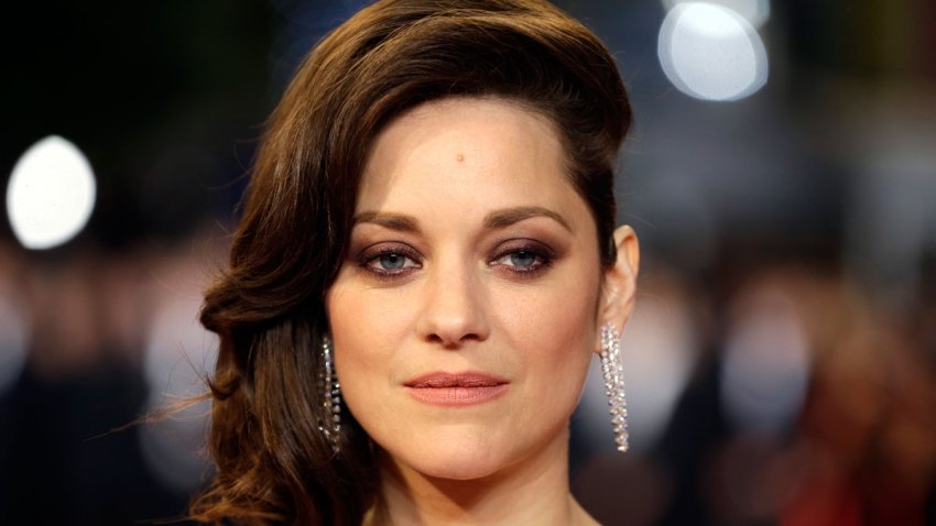 Pitt Jolie Divorce Marion Cotillard