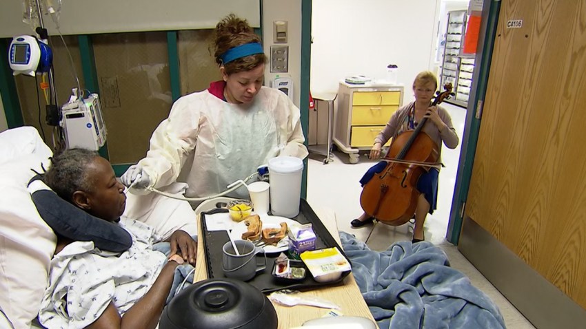 Music and the Brain