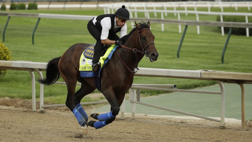 Kentucky Derby Horse Racing