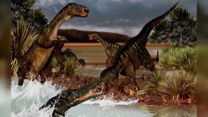 Arlington Dinosaur dig