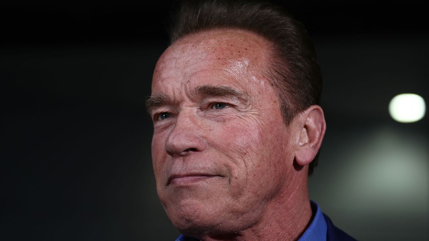 775138072RC017_Arnold_Schwa.jpg