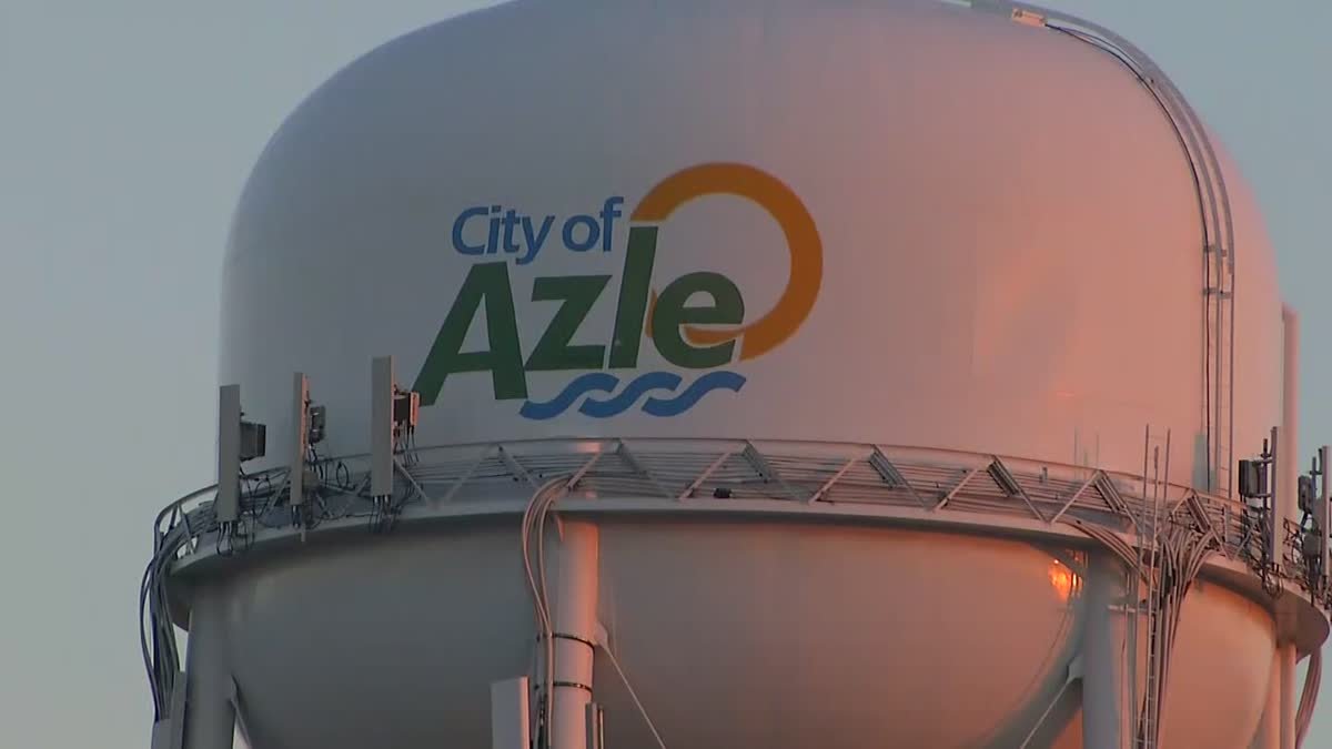Azle Animal Shelter Closes to Public After Positive COVID-19 Test – NBC ...