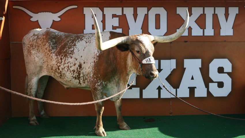 Bevo-XIV