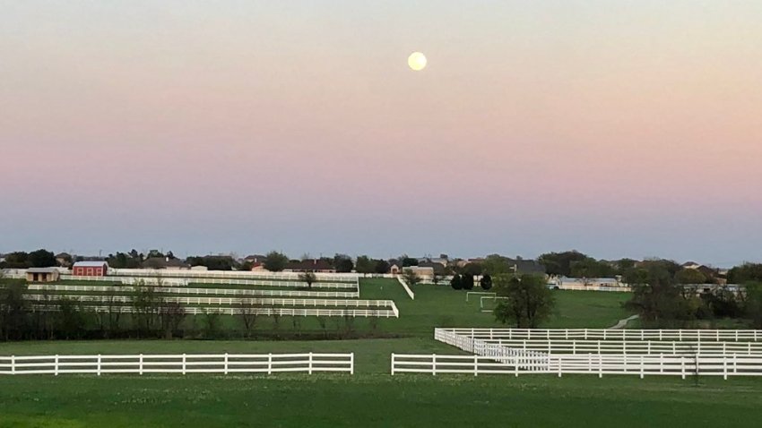 Blue Moon Grant