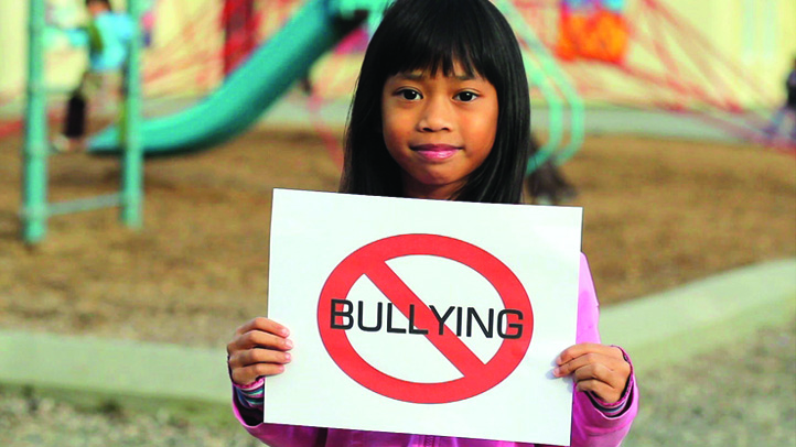 Bully 2015