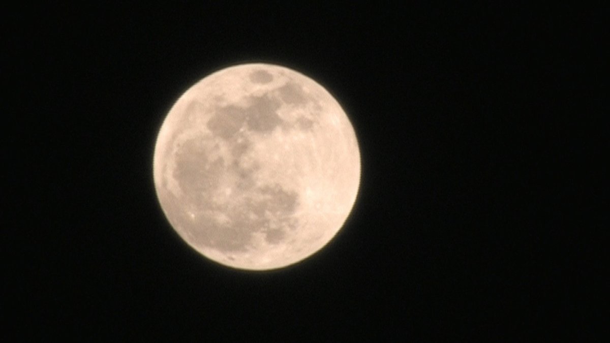 January 2026 Astronomy: What's in the North Texas sky this month?