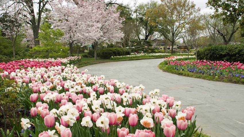 Dallas Arboretum Ranked Second Best Garden In The World Nbc 5
