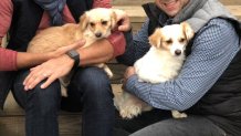 Carlos Partner and pups