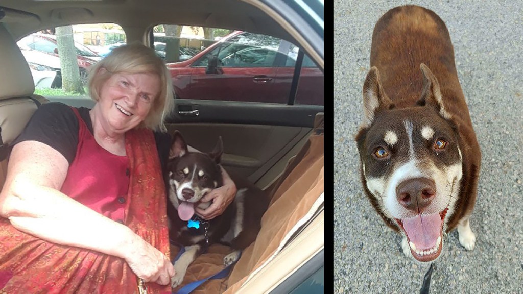 Https Www Nbcdfw Com News National International State Responses To Metoo Lean Toward Transparency Fairness 2082904 2018 08 26t13 18 35 00 00 Https Media Nbcdfw Com 2019 09 March27 Jpg Fit 1024 2c576 Https Www Nbcdfw Com Video