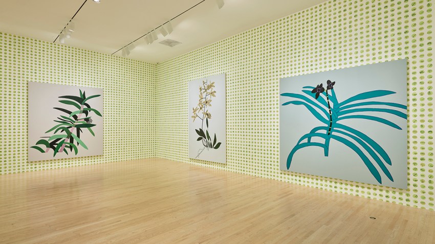 Courtesy of Dallas Museum of Art_Jonas_Wood_010