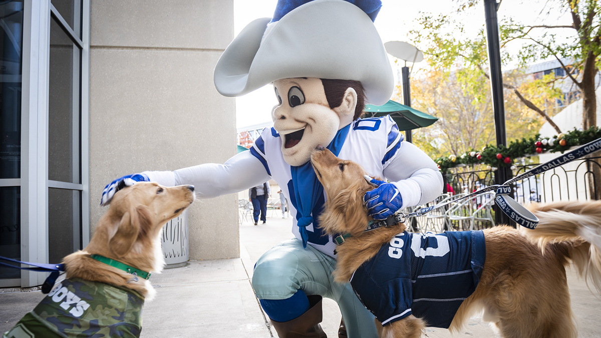 Pets First Small Dallas Cowboys Collar