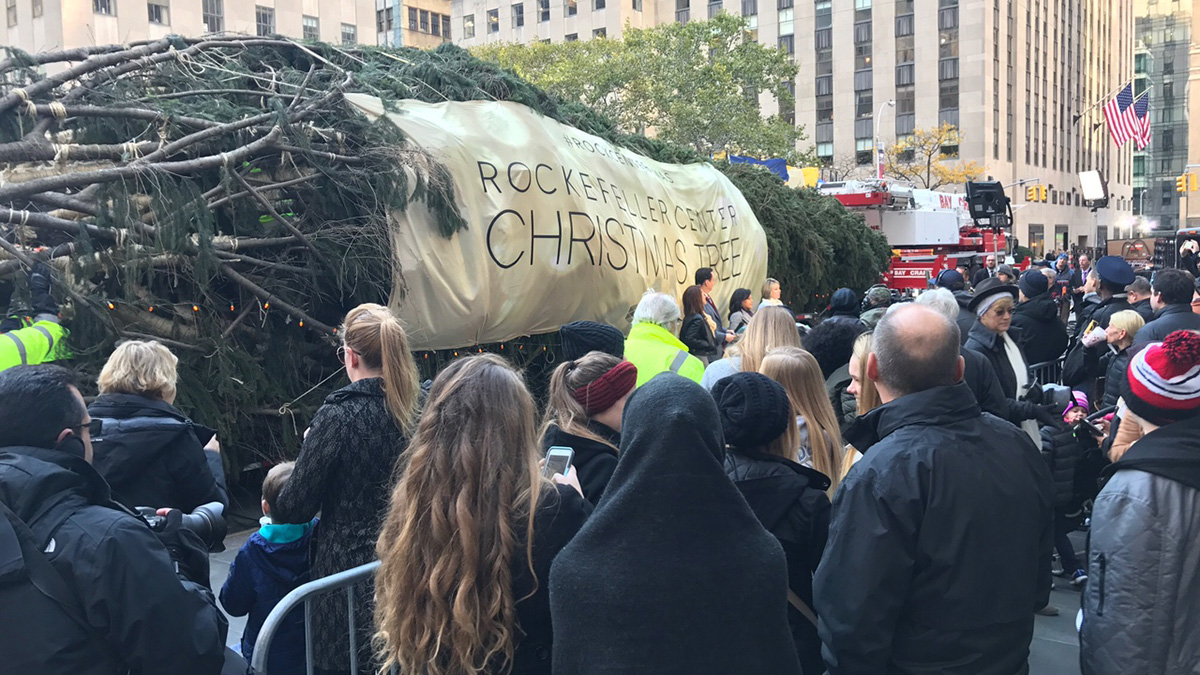 Rockefeller Center Christmas Tree Arrives in New York City – NBC 5 Dallas-Fort Worth