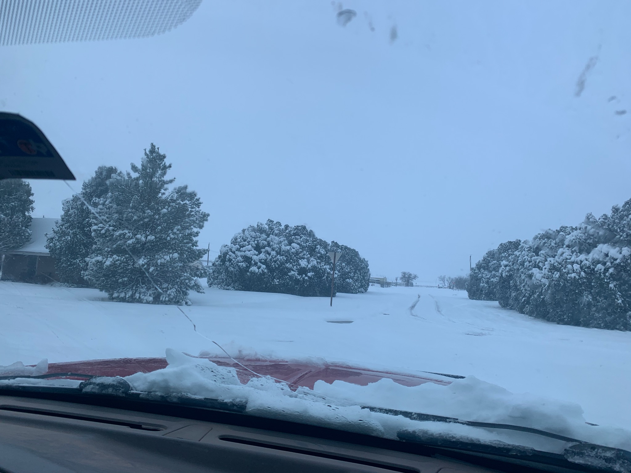 Photos: Snow In Texas Feb. 5, 2020 – NBC 5 Dallas-Fort Worth