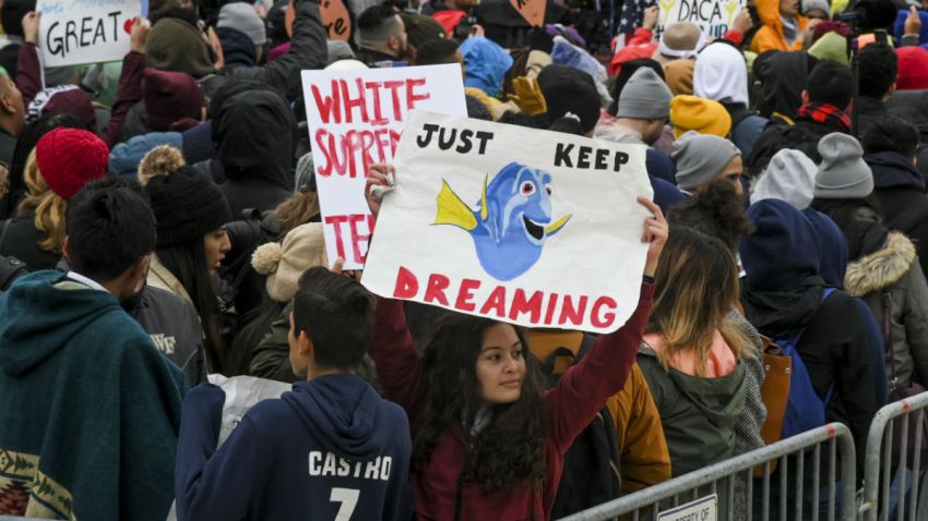 DACA15