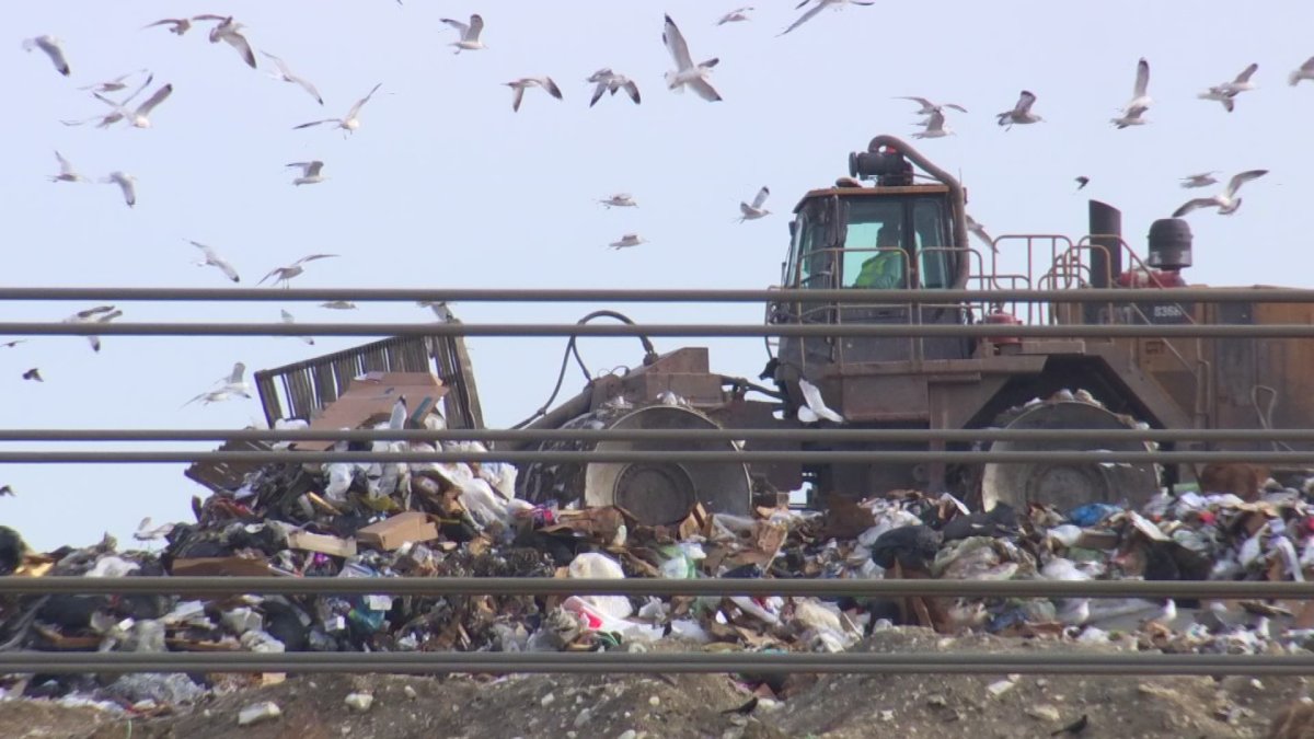 Dallas Landfill Near Me at Jesus Davison blog